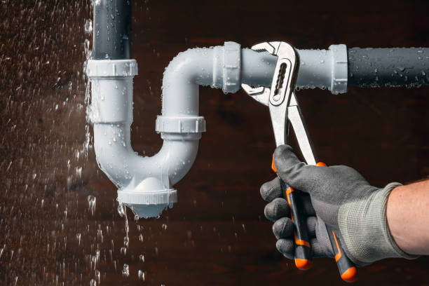 Professional Toilet Repair technician working in Farmland, IN